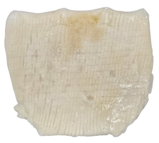 칼집 오징어 몸살 (3kg, 중국, 아토)