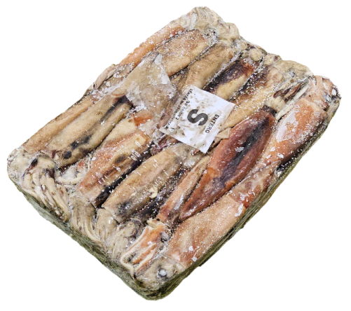 냉동 오징어 S (200/300, 아르헨티나)