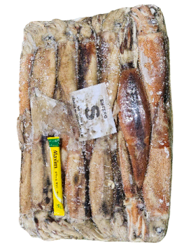 냉동 오징어 S (200/300, 아르헨티나)