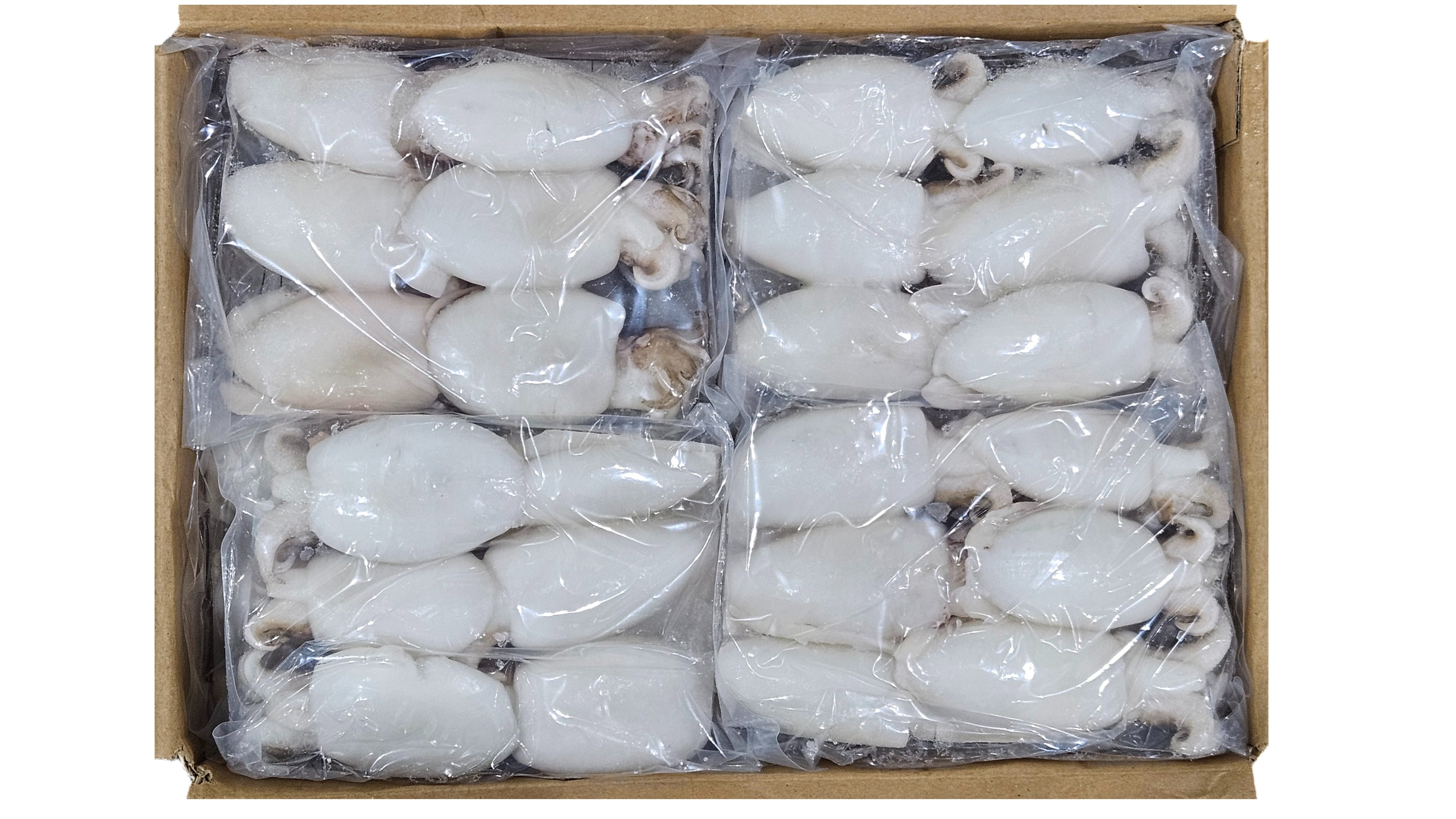 손질 미니 갑오징어 10/20 (베트남, 베이비 이까)