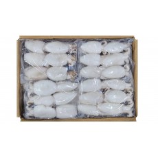 손질 미니 갑오징어 10/20 (베트남, 베이비 이까)