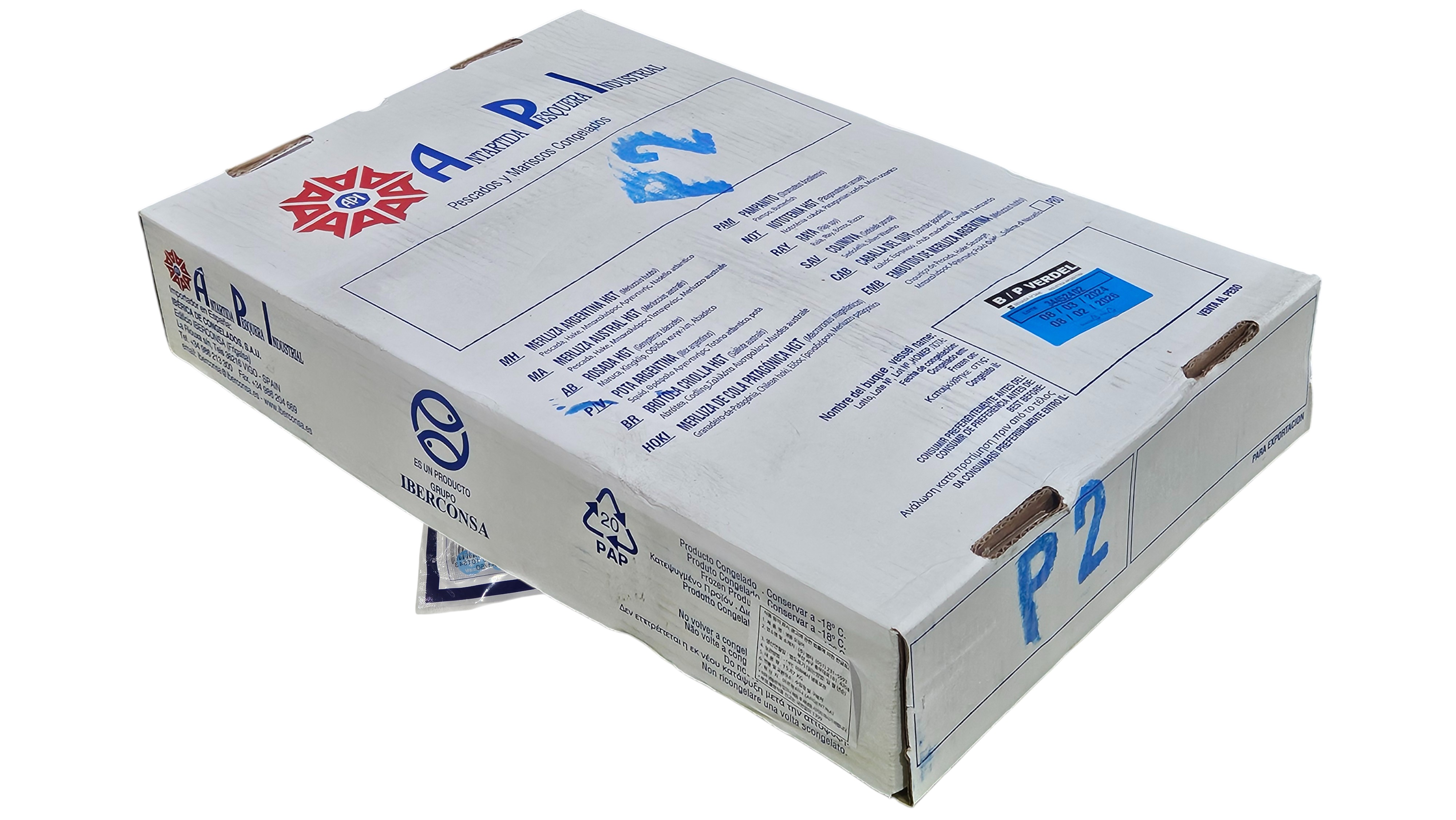 냉동 오징어 M (300/400, 아르헨티나)