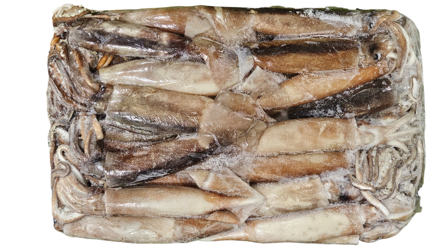 냉동 오징어 M (300/400, 아르헨티나)