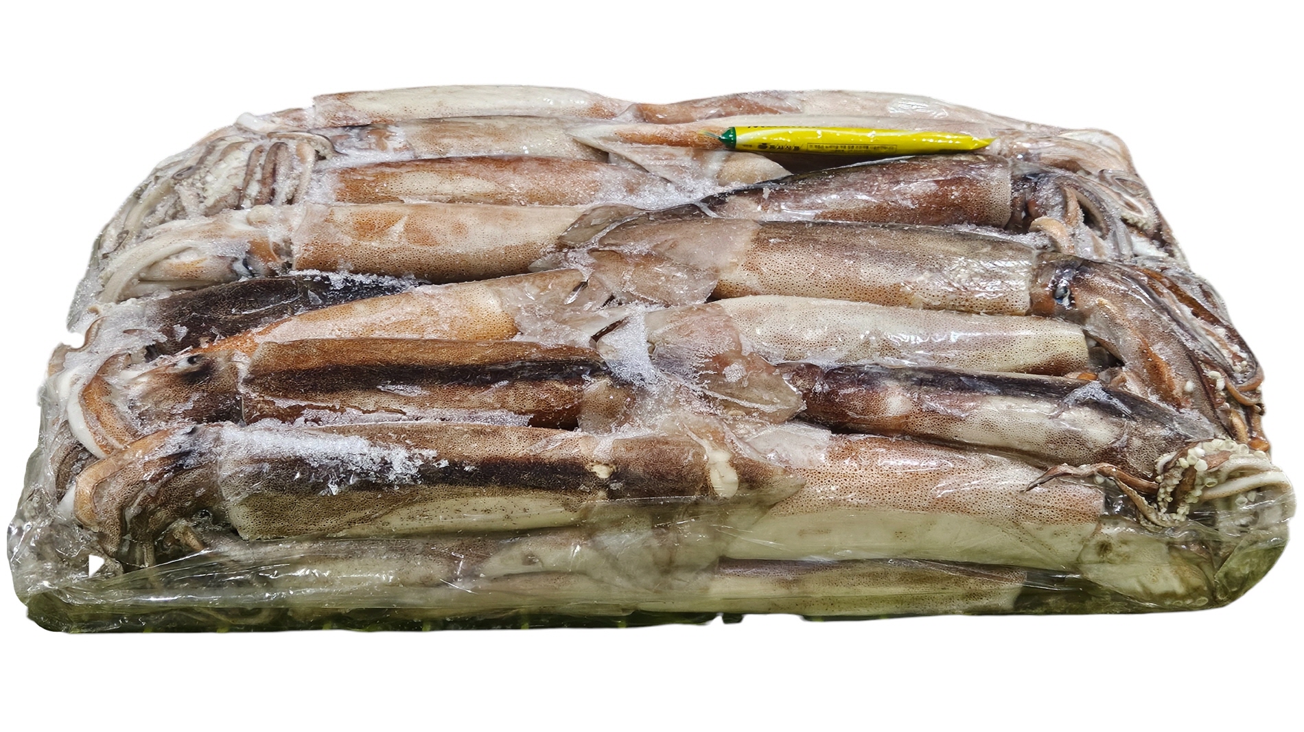 냉동 오징어 M (300/400, 아르헨티나)