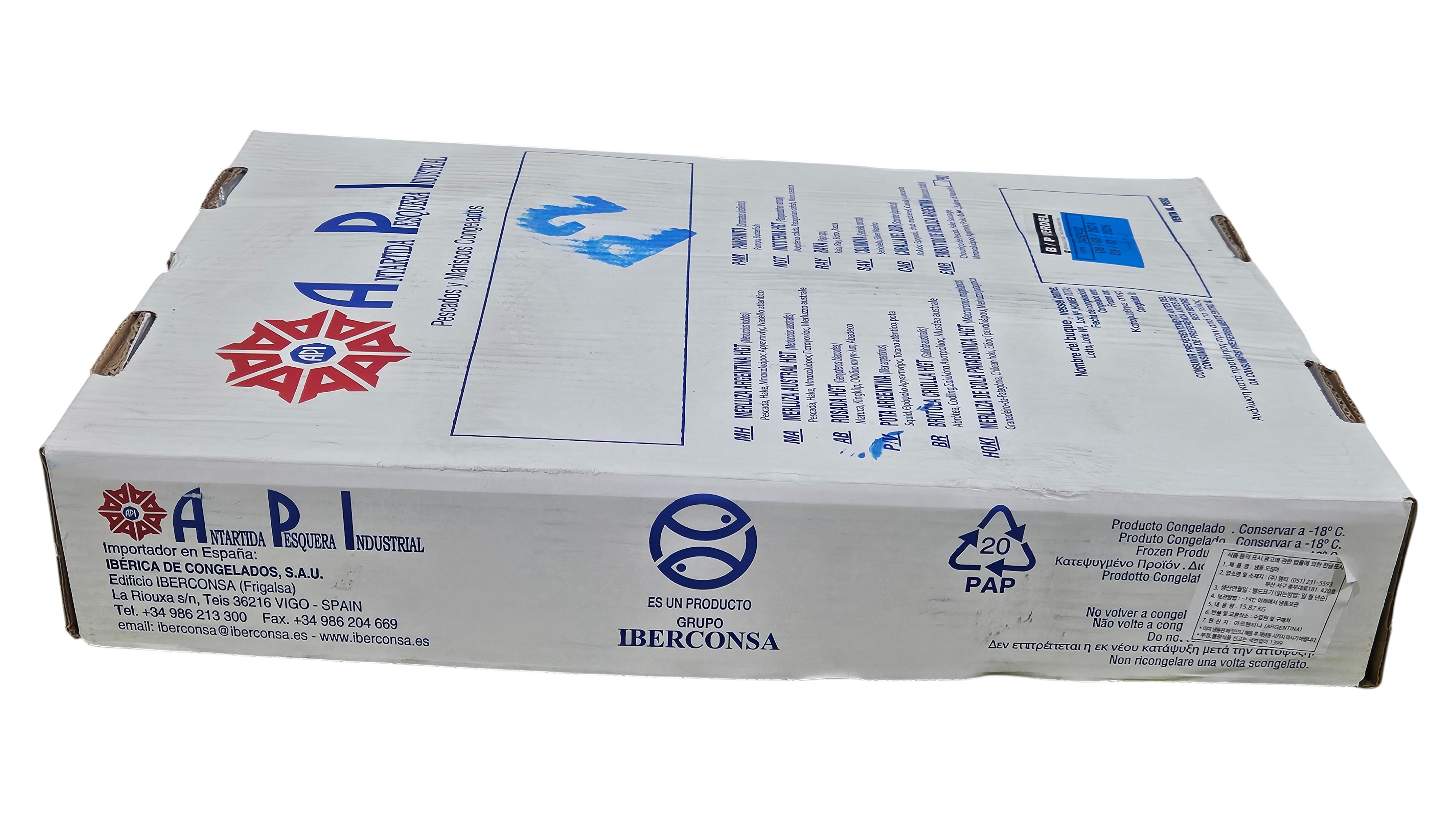 냉동 오징어 M (300/400, 아르헨티나)