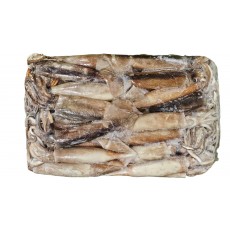 냉동 오징어 M (300/400, 아르헨티나)