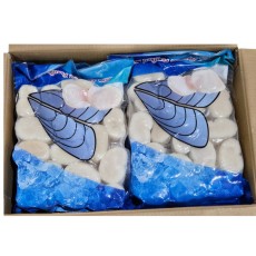 키조개 관자 2L (16/20, 개아지살, 가이바시, 중국)