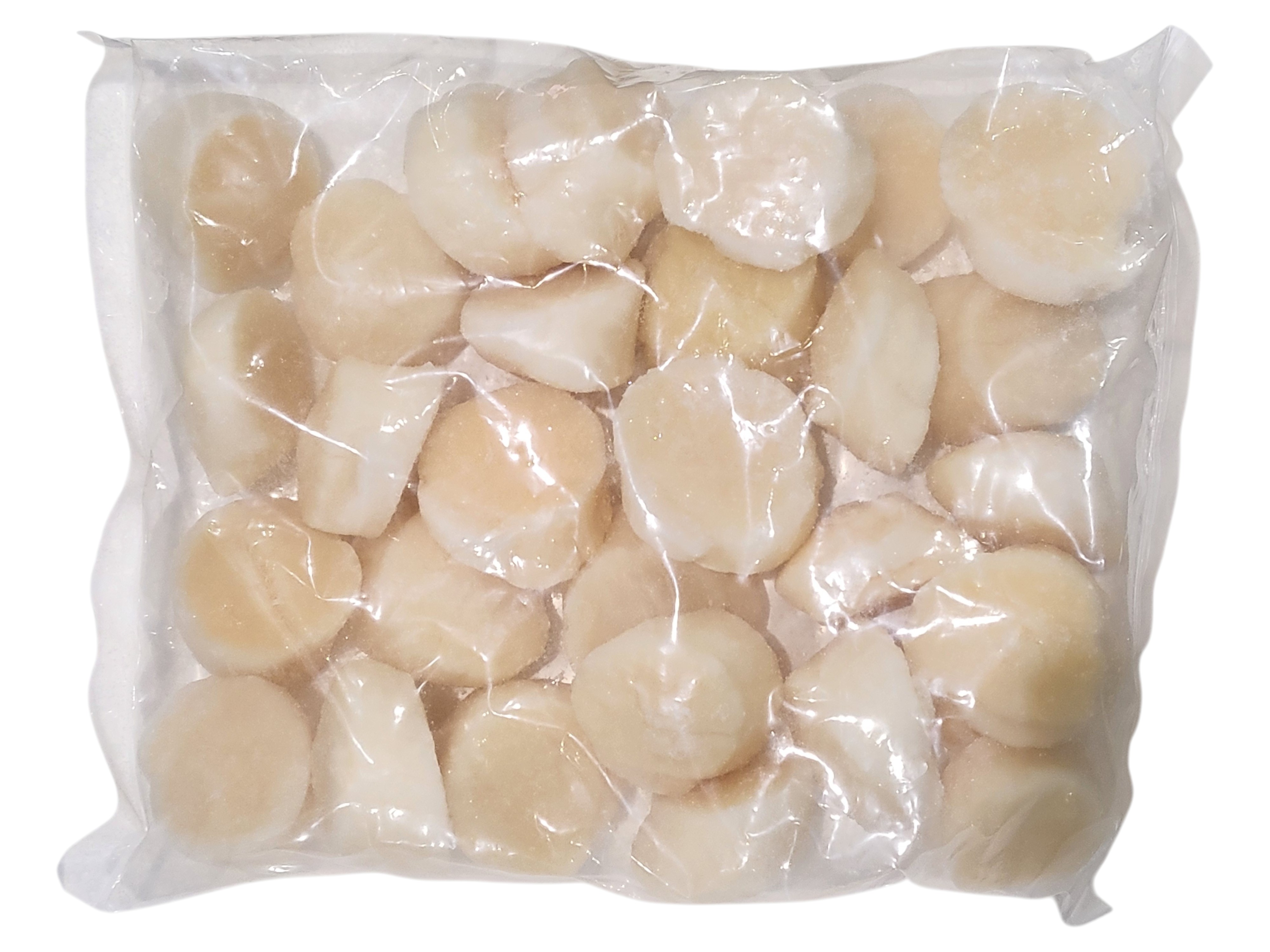 가리비 관자 (개아지살) 11/15