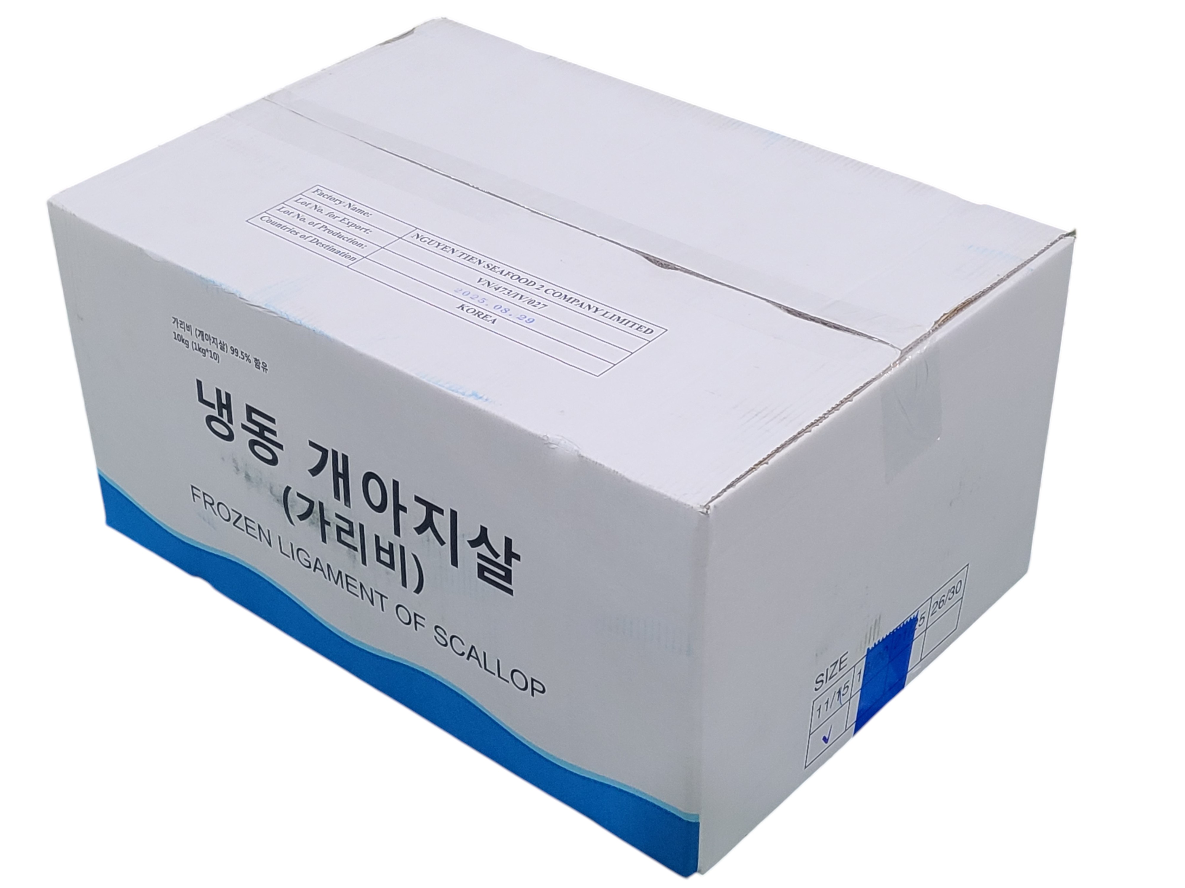 가리비 관자 (개아지살) 11/15