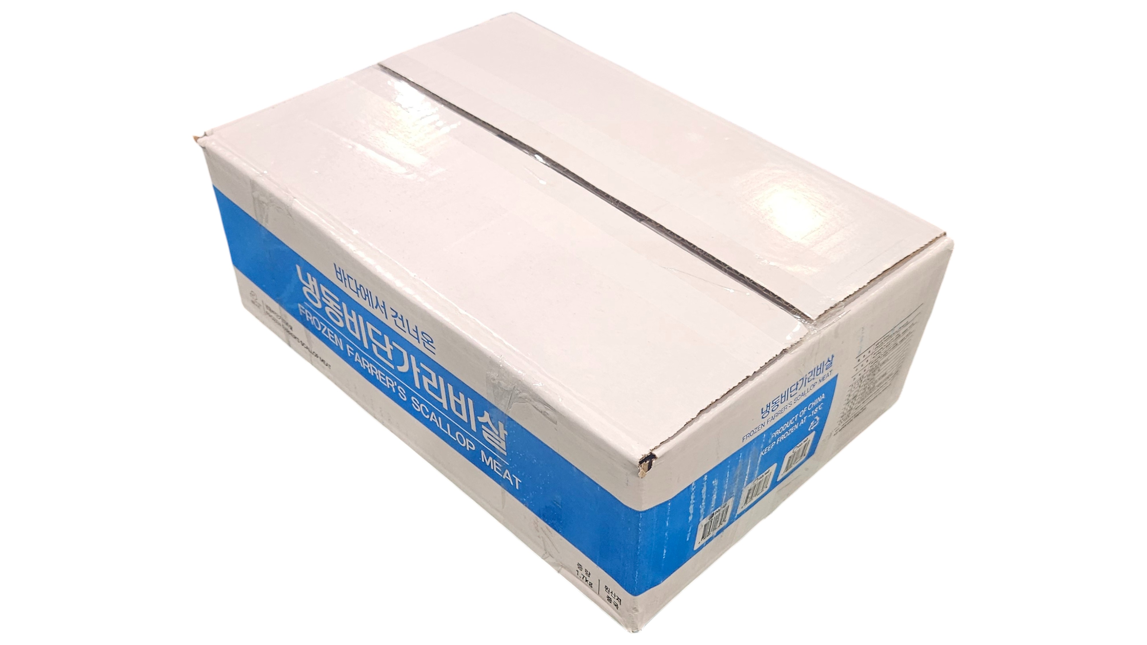 히모가리비 20/40 (비단 가리비)