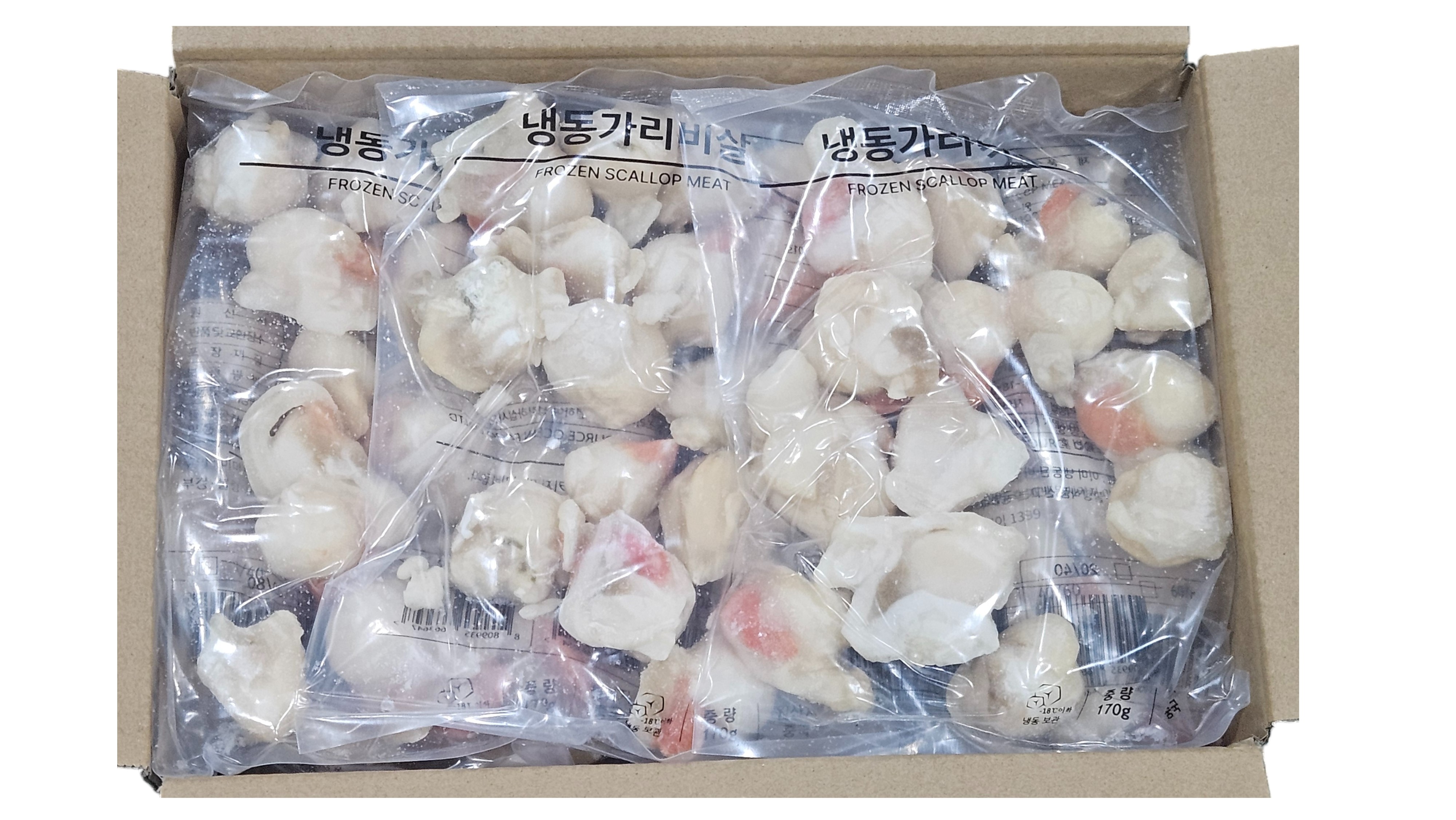 히모가리비 20/40 (비단 가리비)