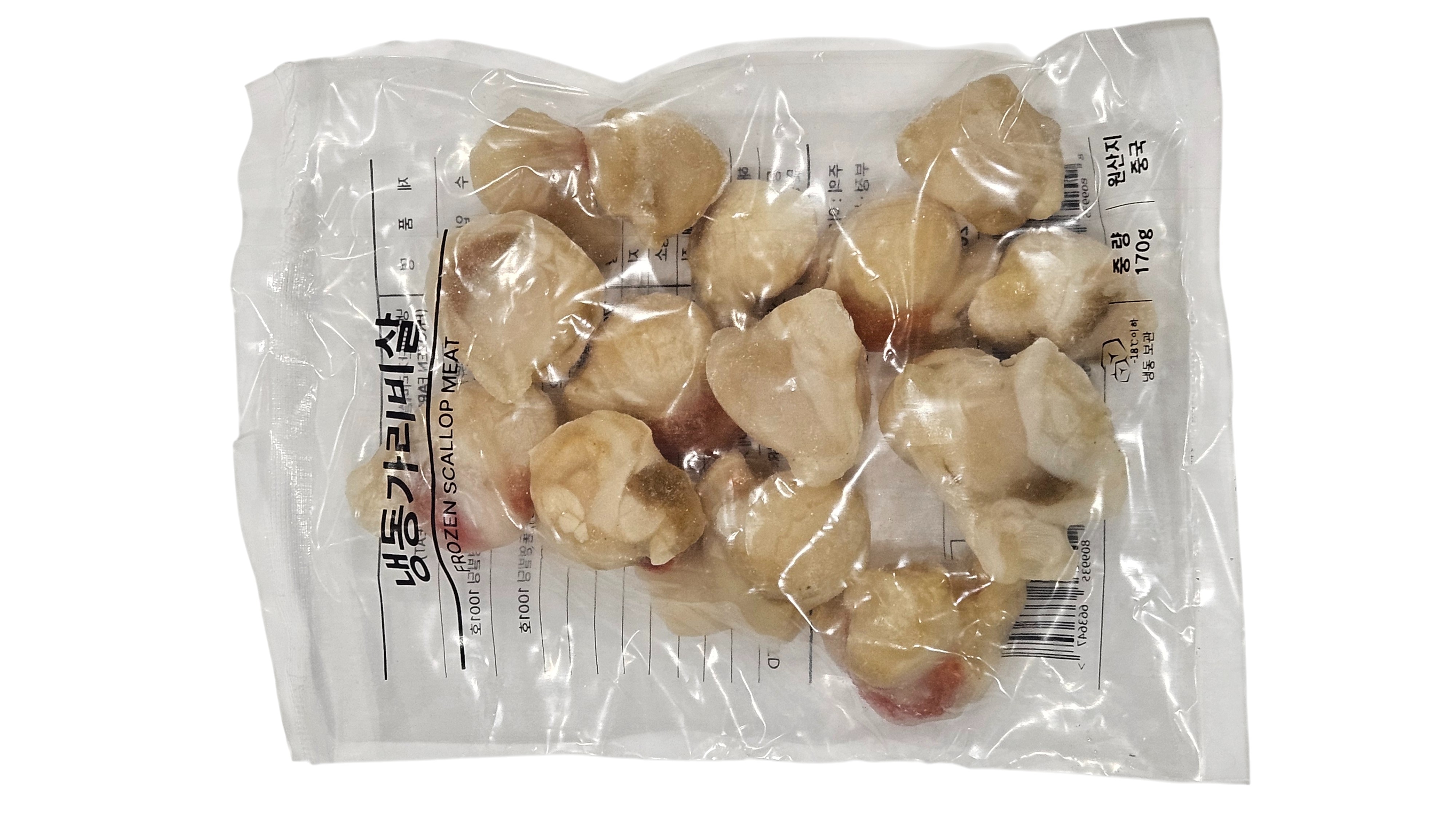 히모가리비 20/40 (비단 가리비)