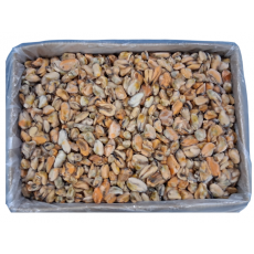 홍합살/자숙 깐홍합 100/200 (중국, 10kg, 벌크)