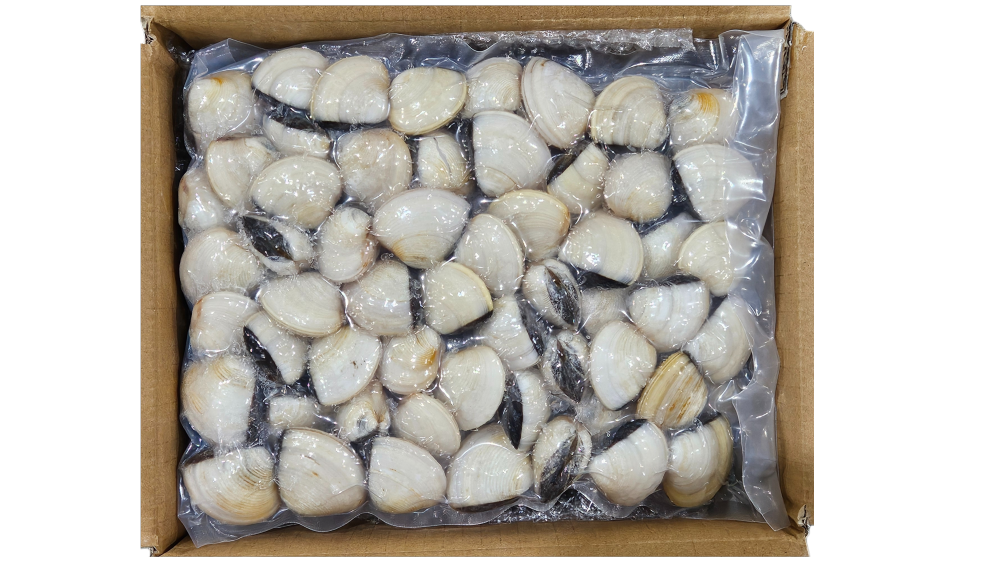 냉동 피백합(백합조개) 41/60, 태국