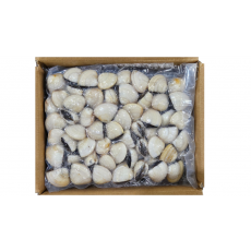 냉동 피백합(백합조개) 41/60, 태국