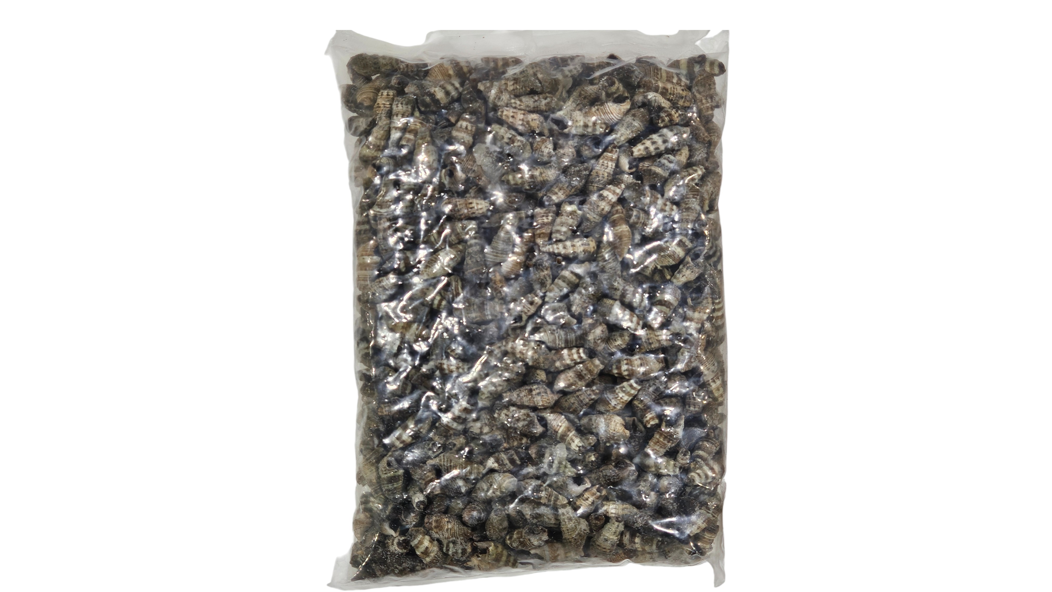 자숙 갯고동 (바다 다슬기)