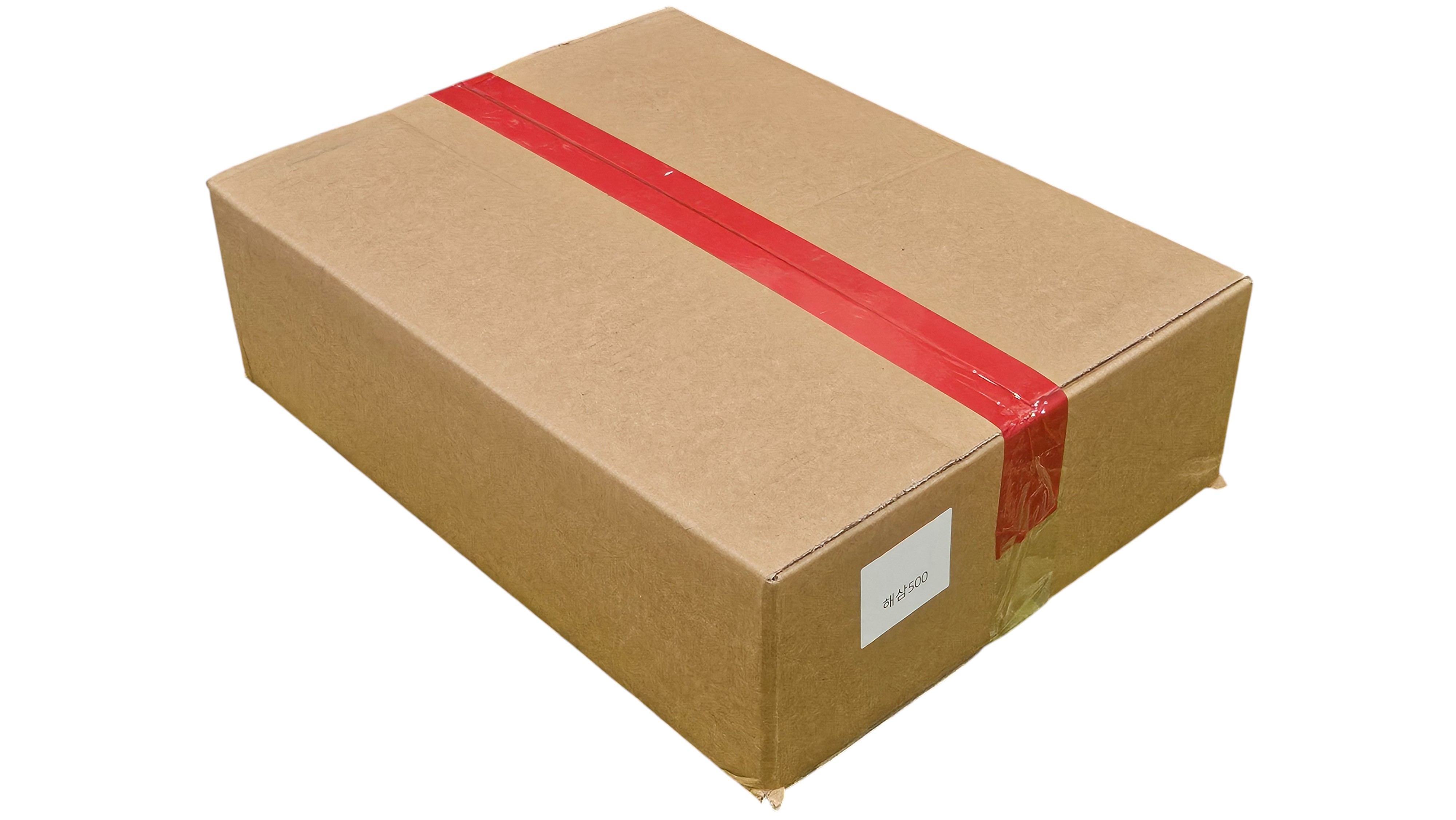 냉동 해삼 500g (필리핀)