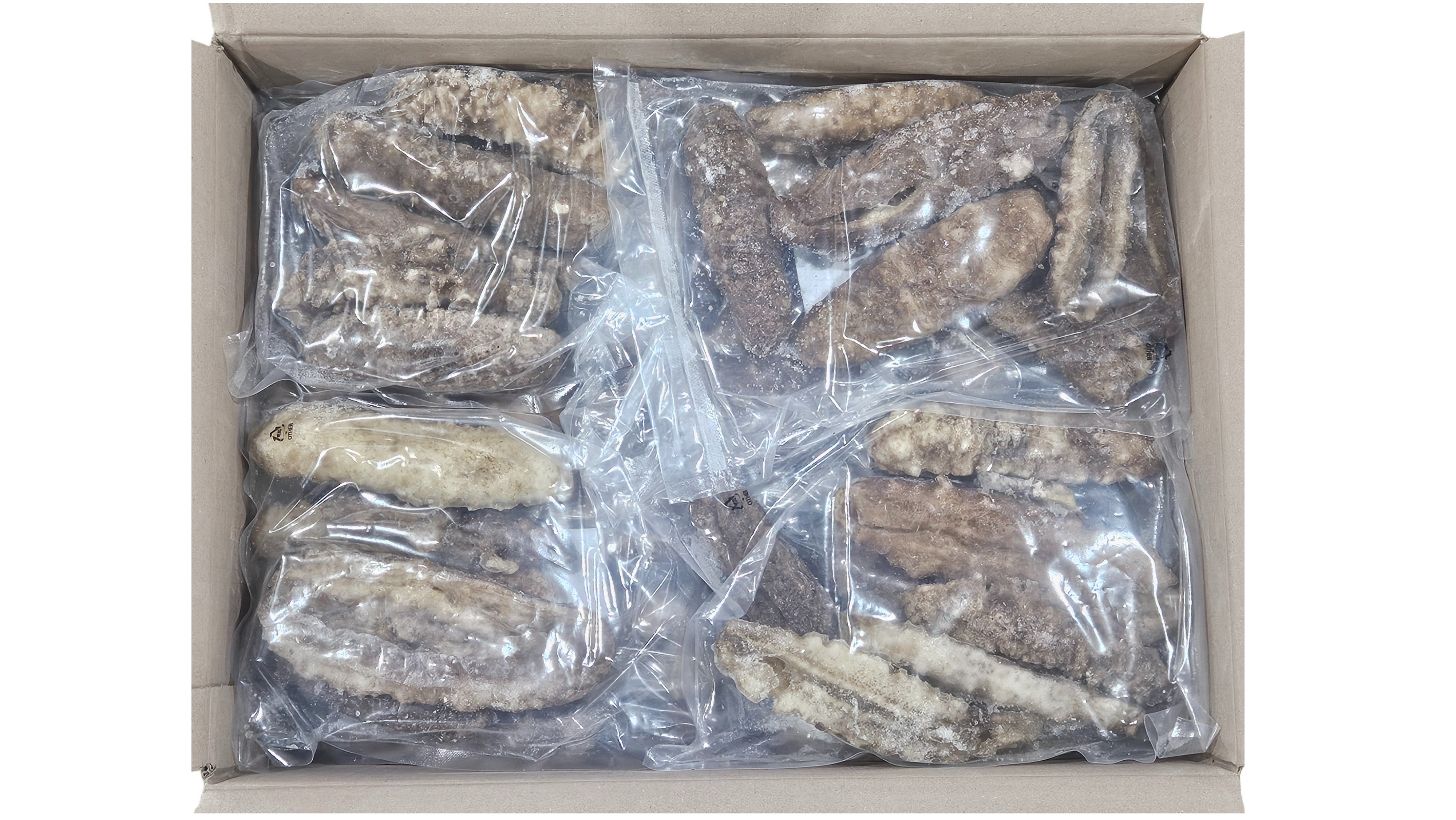 냉동 해삼 500g (필리핀)