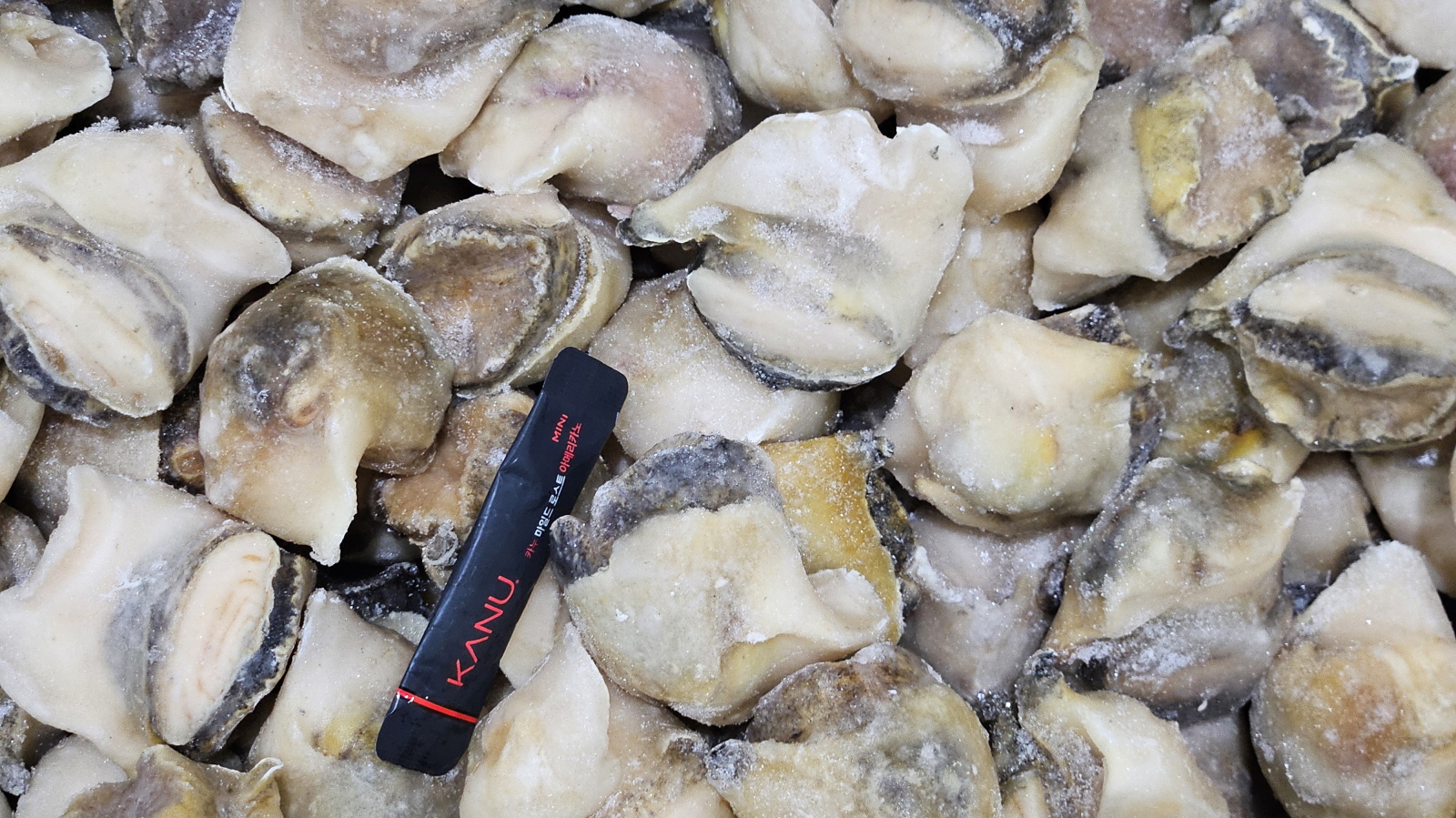 자숙 참소라살 (피뿔고둥살, 중국) 16/20 (2L)