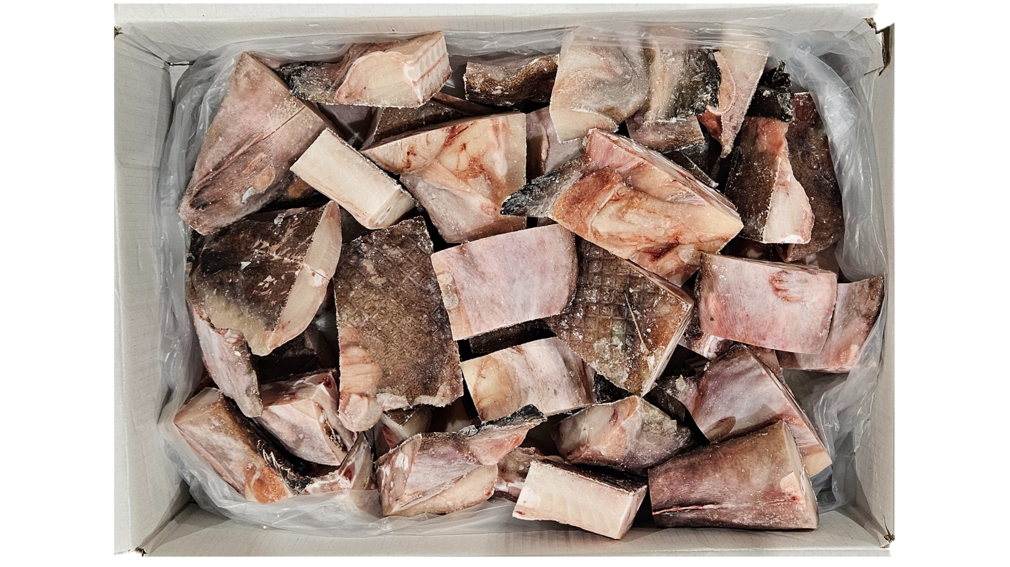 냉동 아구 7미 (비절단, 10kg)