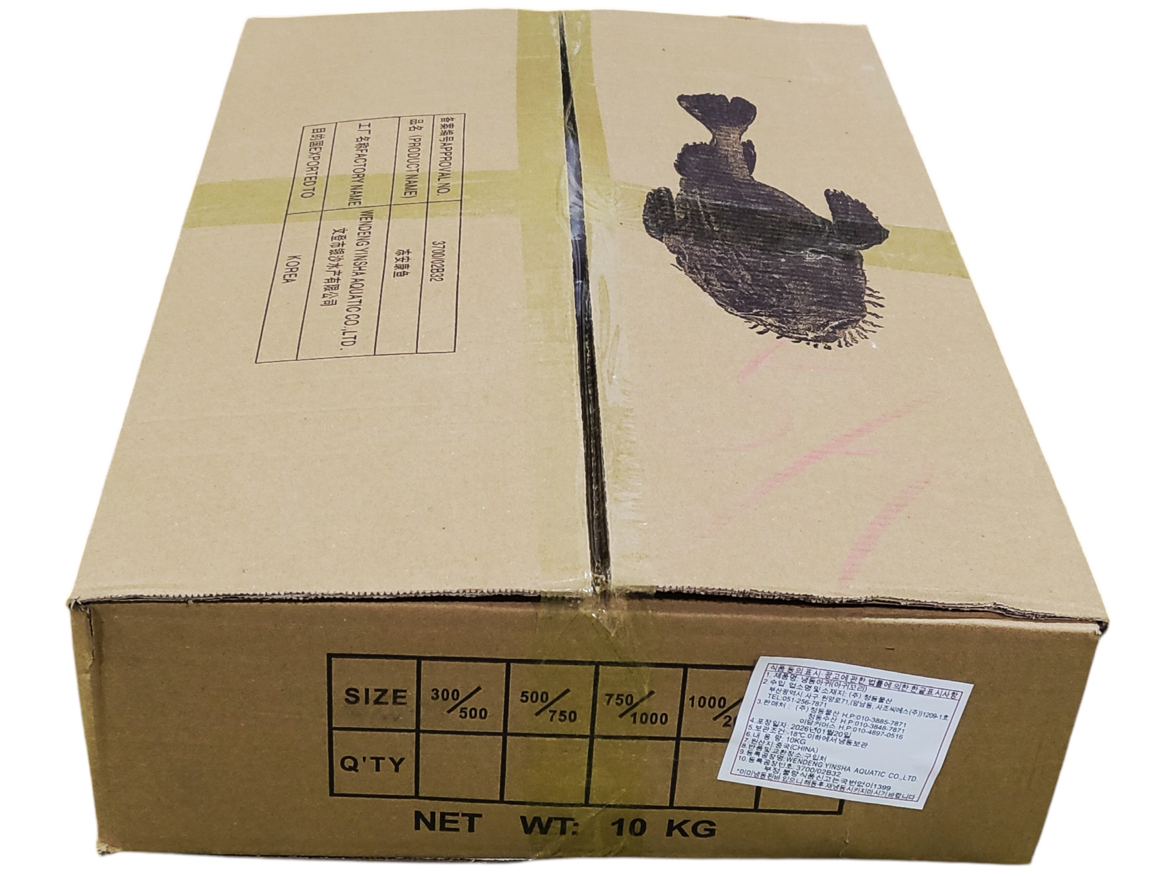 냉동 아구꼬리살 500/700 (비절단, 중국/문등, 10kg)