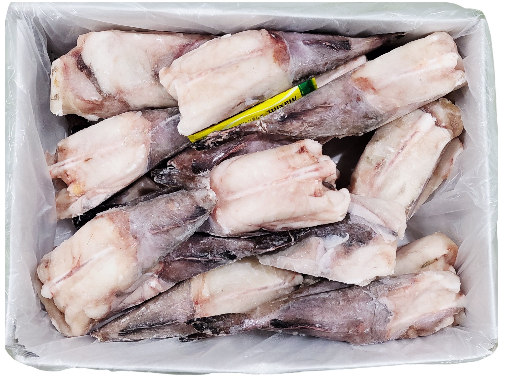 냉동 아구꼬리살 500/700 (비절단, 중국/문등, 10kg)