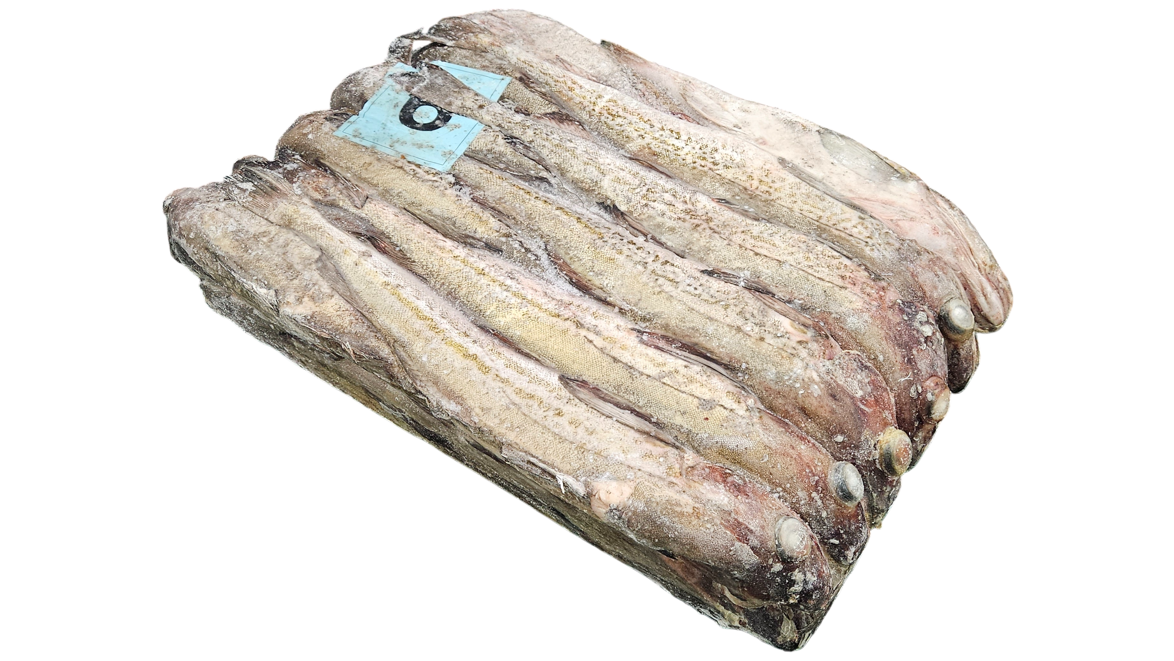 동태 (명태) 6통 (비절단, 러시아)