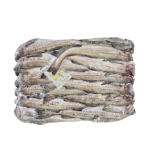 동태 (명태) 8통 (비절단, 러시아)