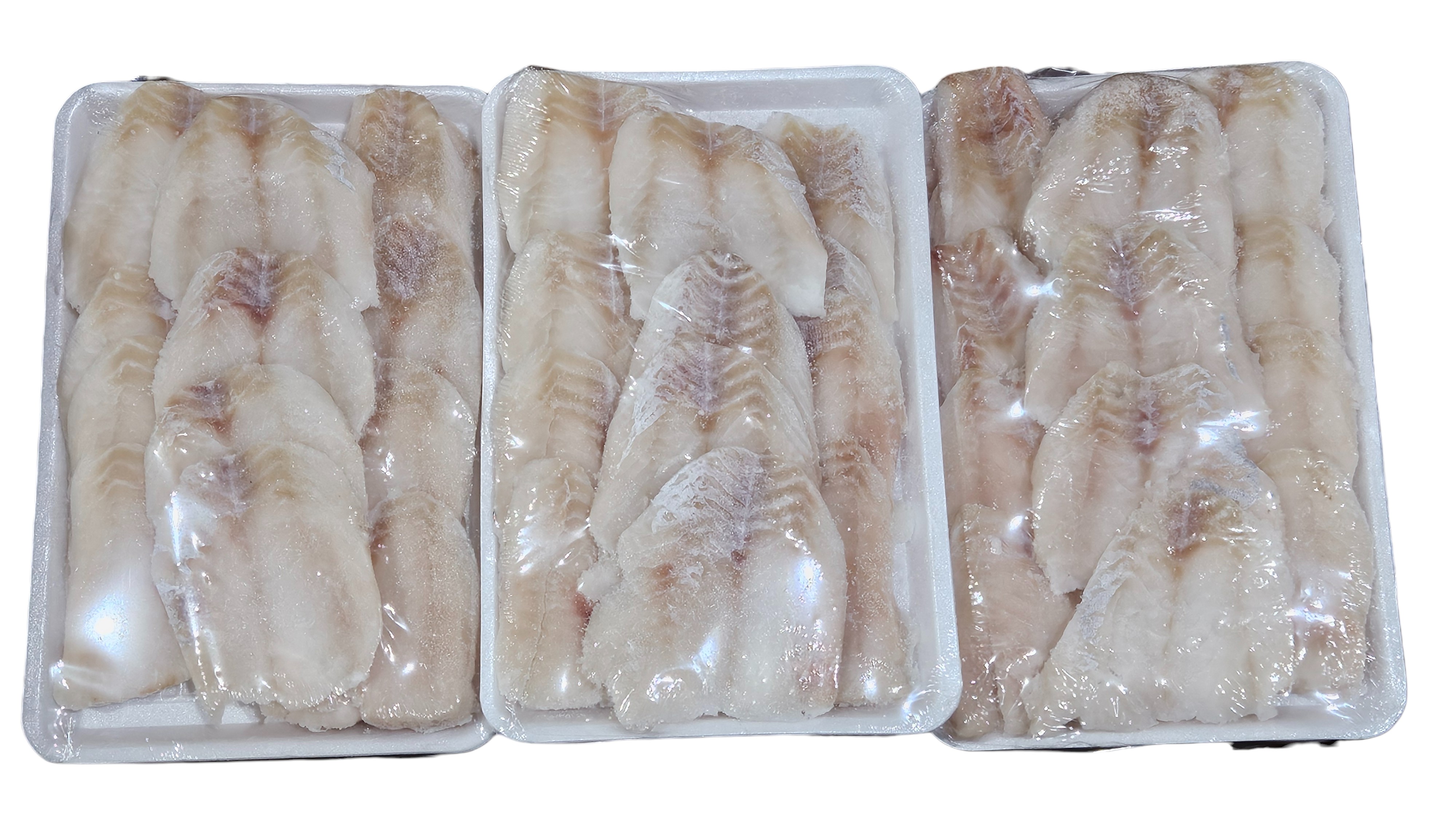 동태포 슬라이스 트레이 (기계작업)