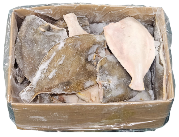 손질가자미 / 두절가자미 200/300