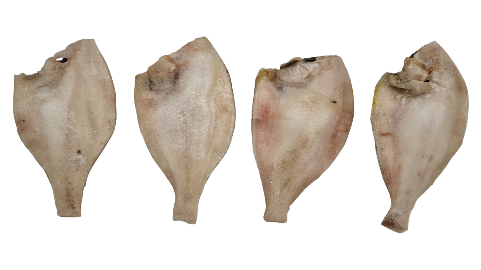 손질가자미 / 두절가자미 80/100