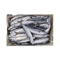 노르웨이 원물 고등어 400/600