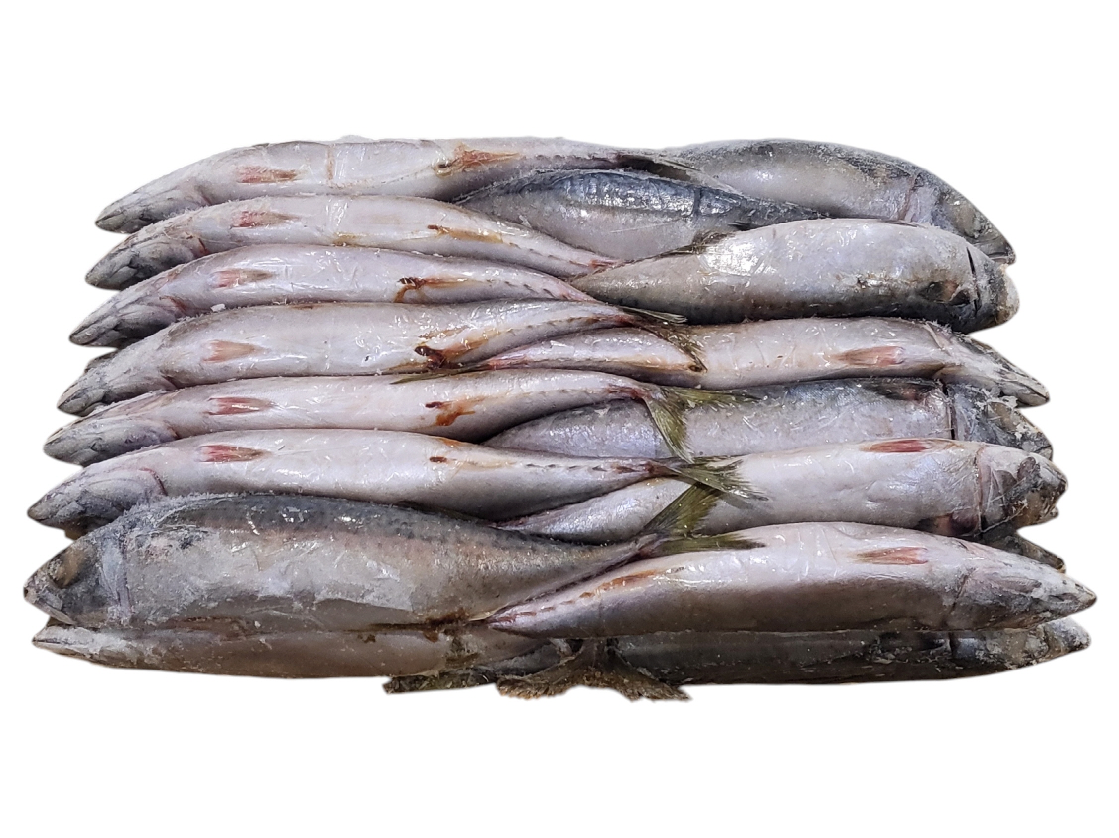 국내산 고등어 (조림용) 32미