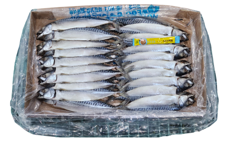 노르웨이 자반고등어 10손 대 (동아)
