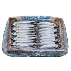 노르웨이 자반고등어 10손 대 (동아)