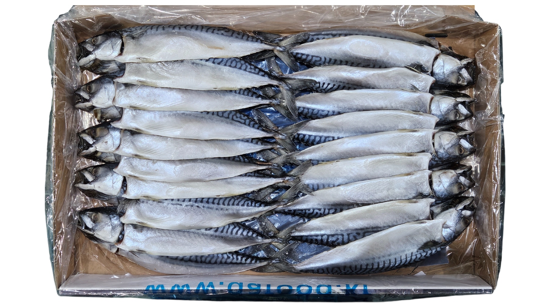 노르웨이 자반고등어 10손 소 (동아)