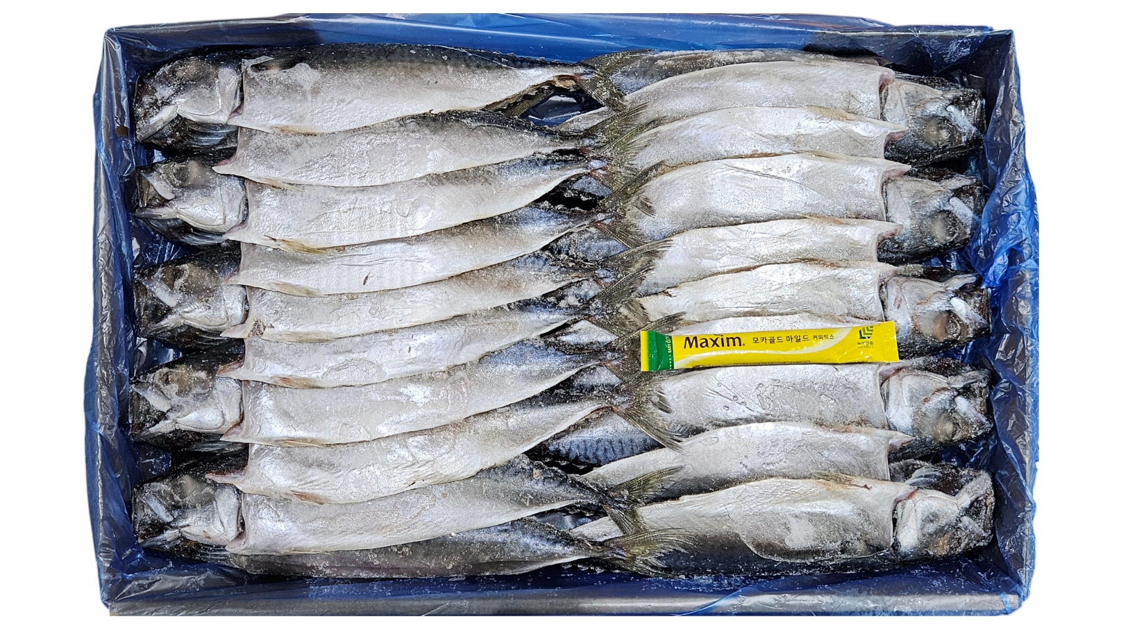 국내산 자반고등어 20손 대 (나라)