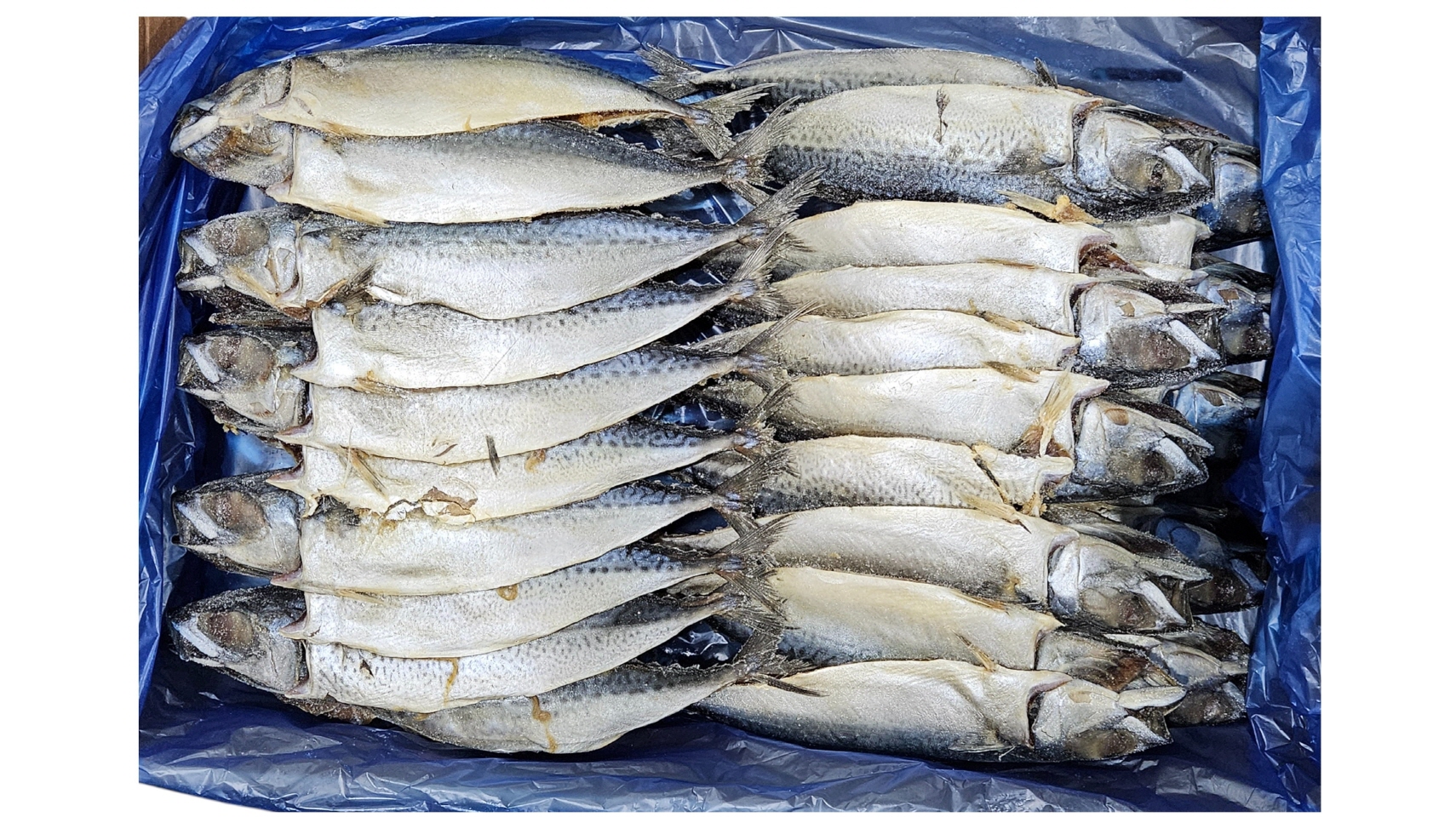 국내산 자반고등어 20손 중 (파알)