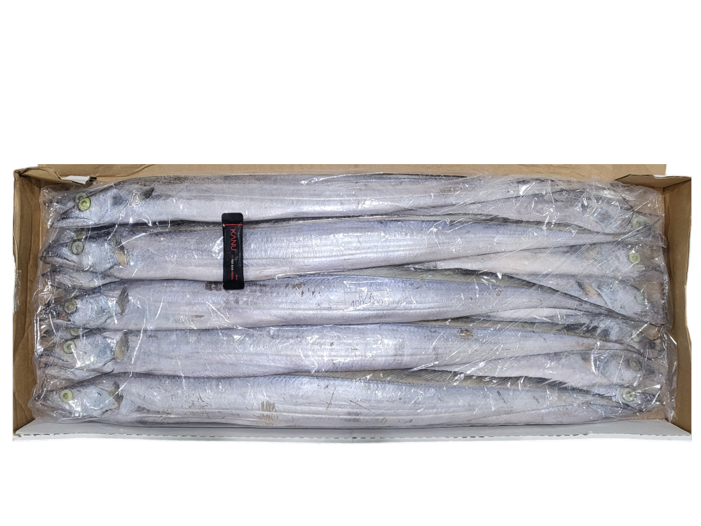 세네갈 갈치(채낙) 400/500