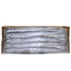 세네갈 갈치(채낙) 400/500