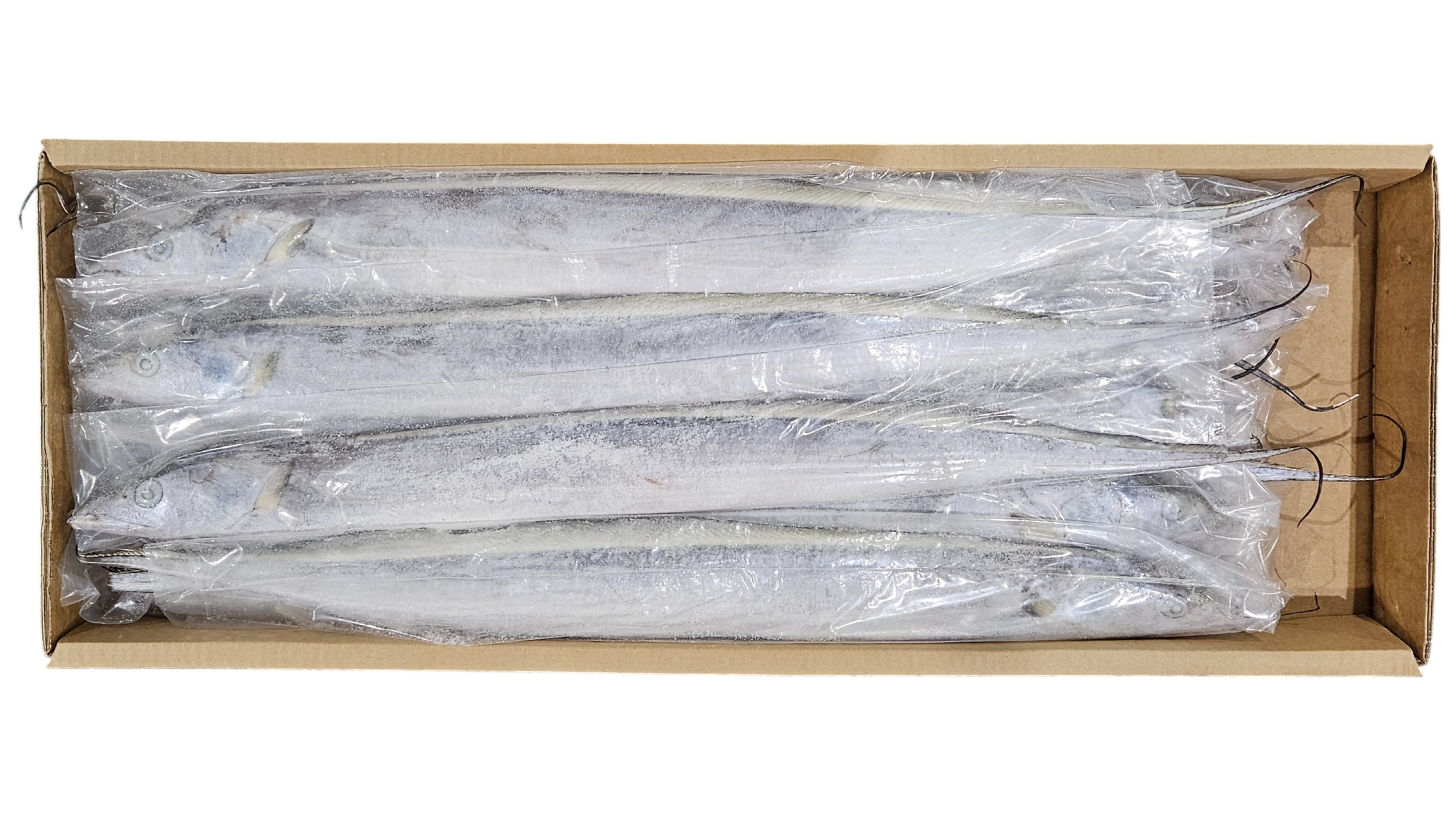 오만 갈치(채낙) 400/500