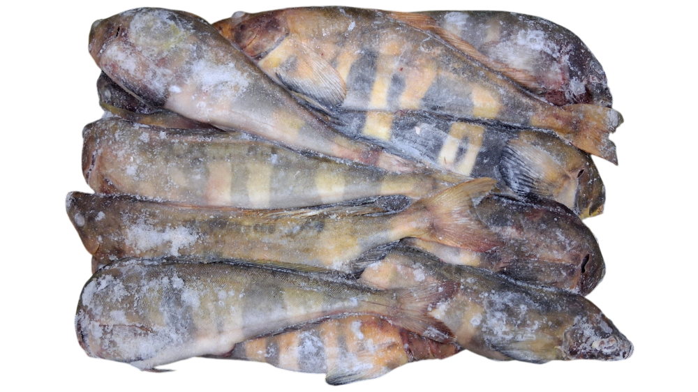 냉동 임연수 2L (22~ 25마리)