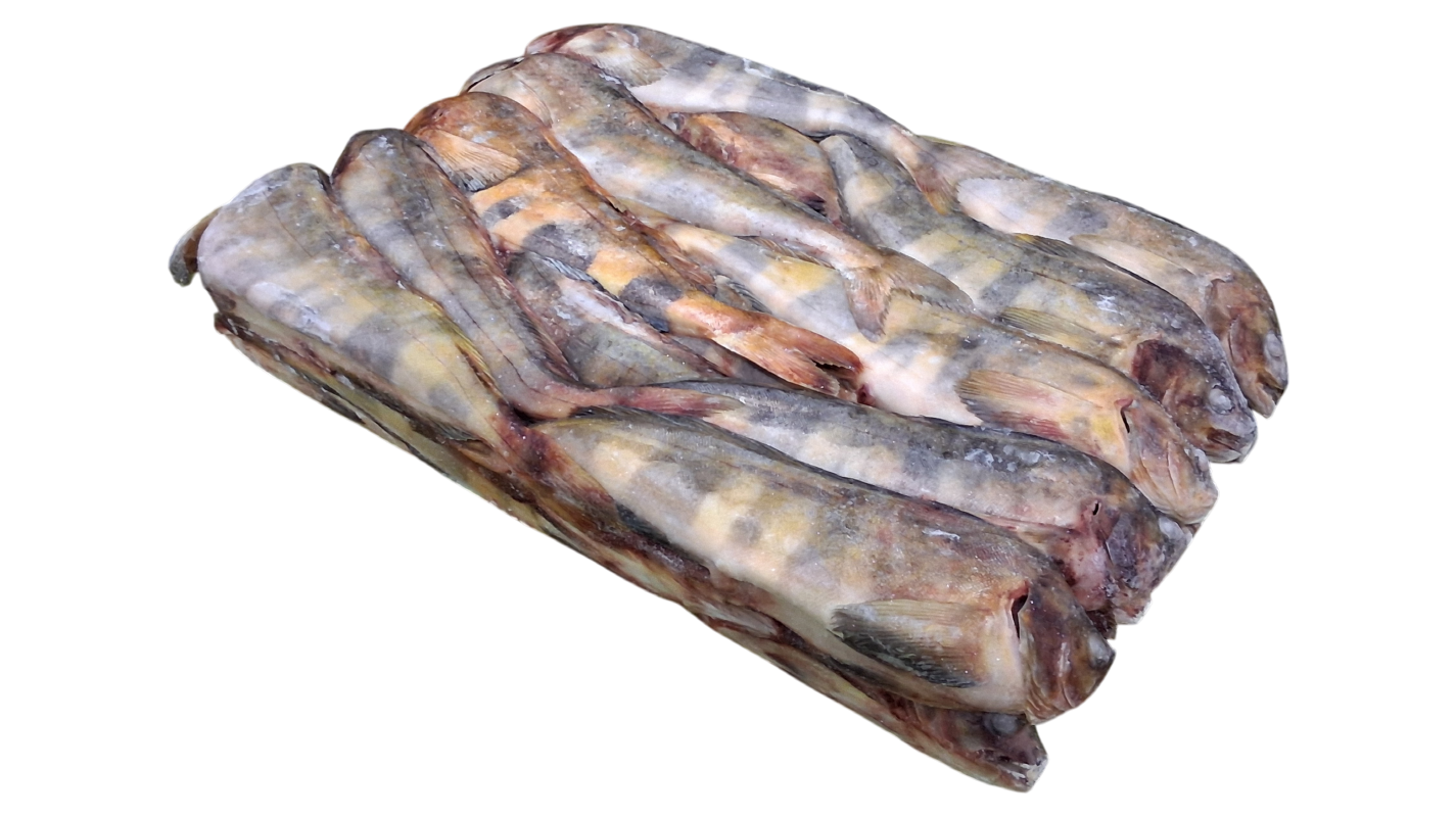 냉동 임연수 L (26~ 32마리)