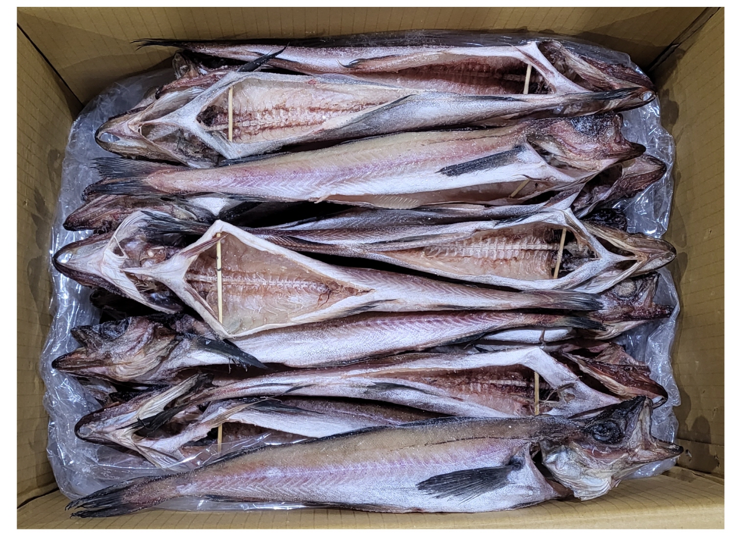 깔끔 코다리 48미 (코다리찜 전용)