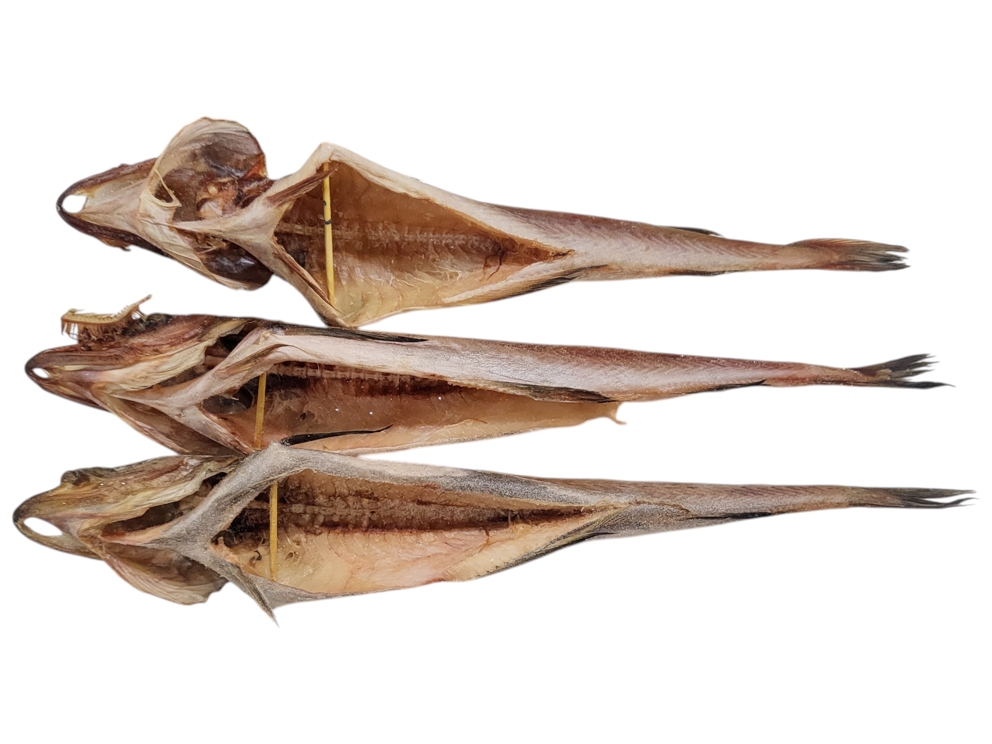 깔끔 코다리 48미 (코다리찜 전용)