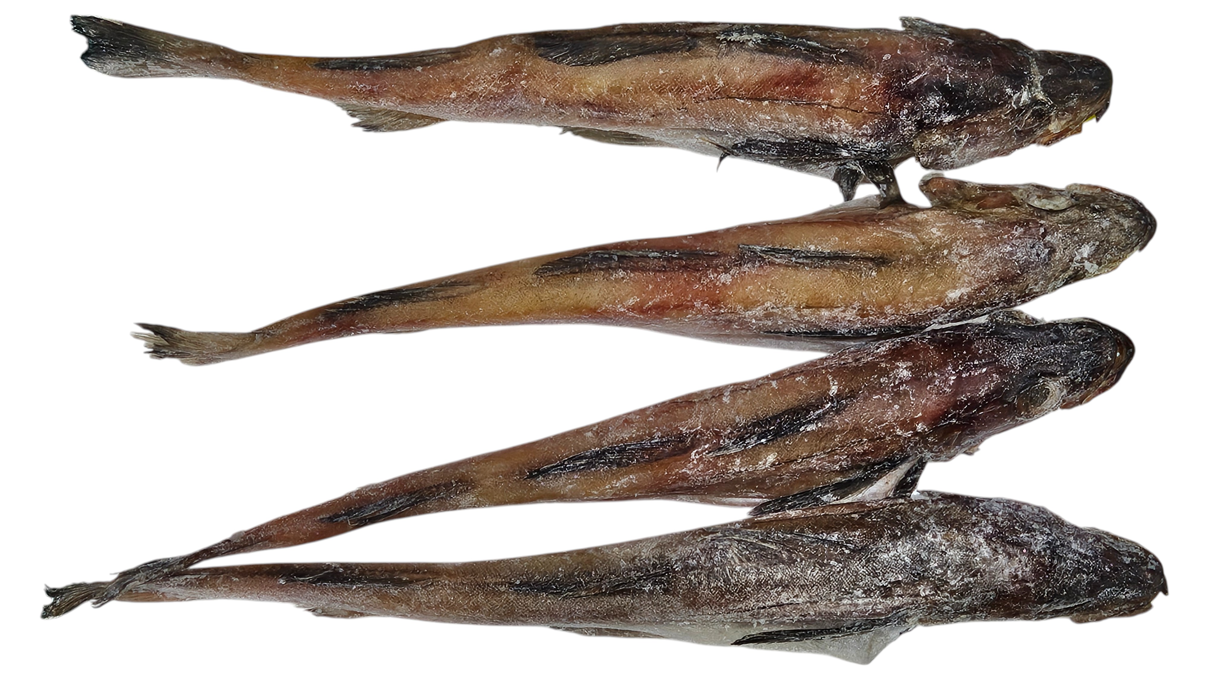 냉 코다리 40미 (410)