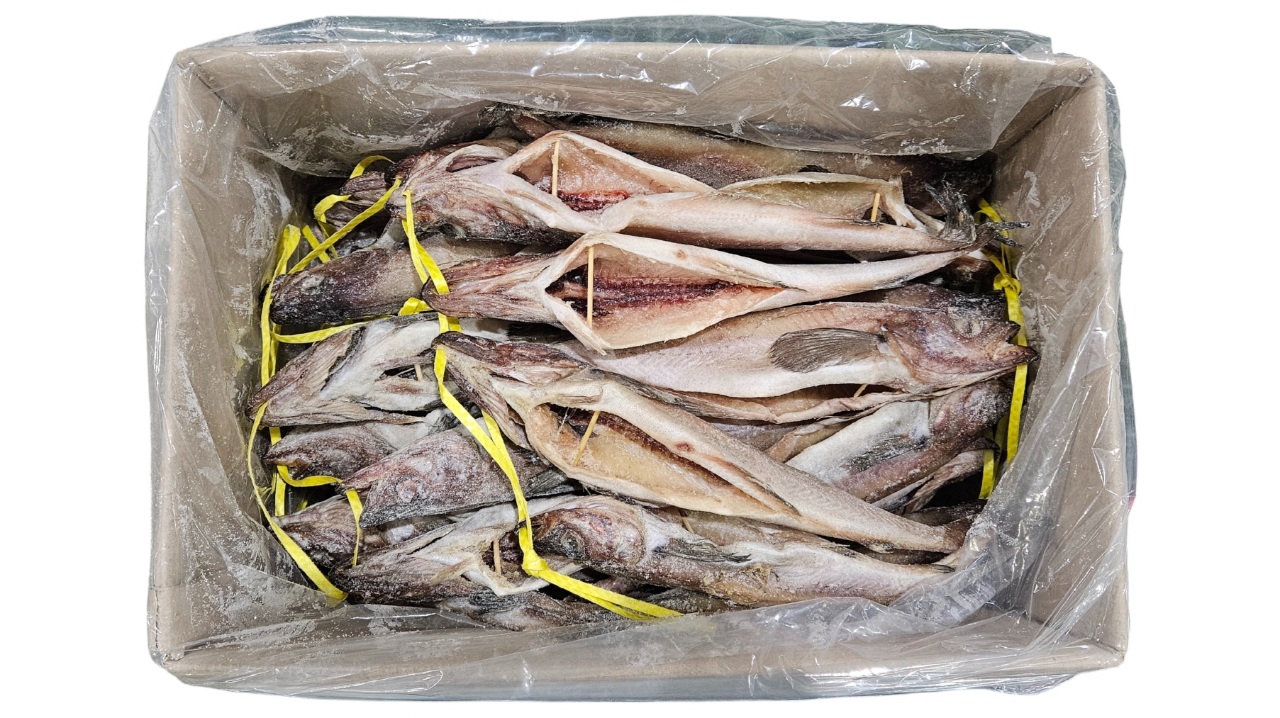 냉 코다리 48미 (412)