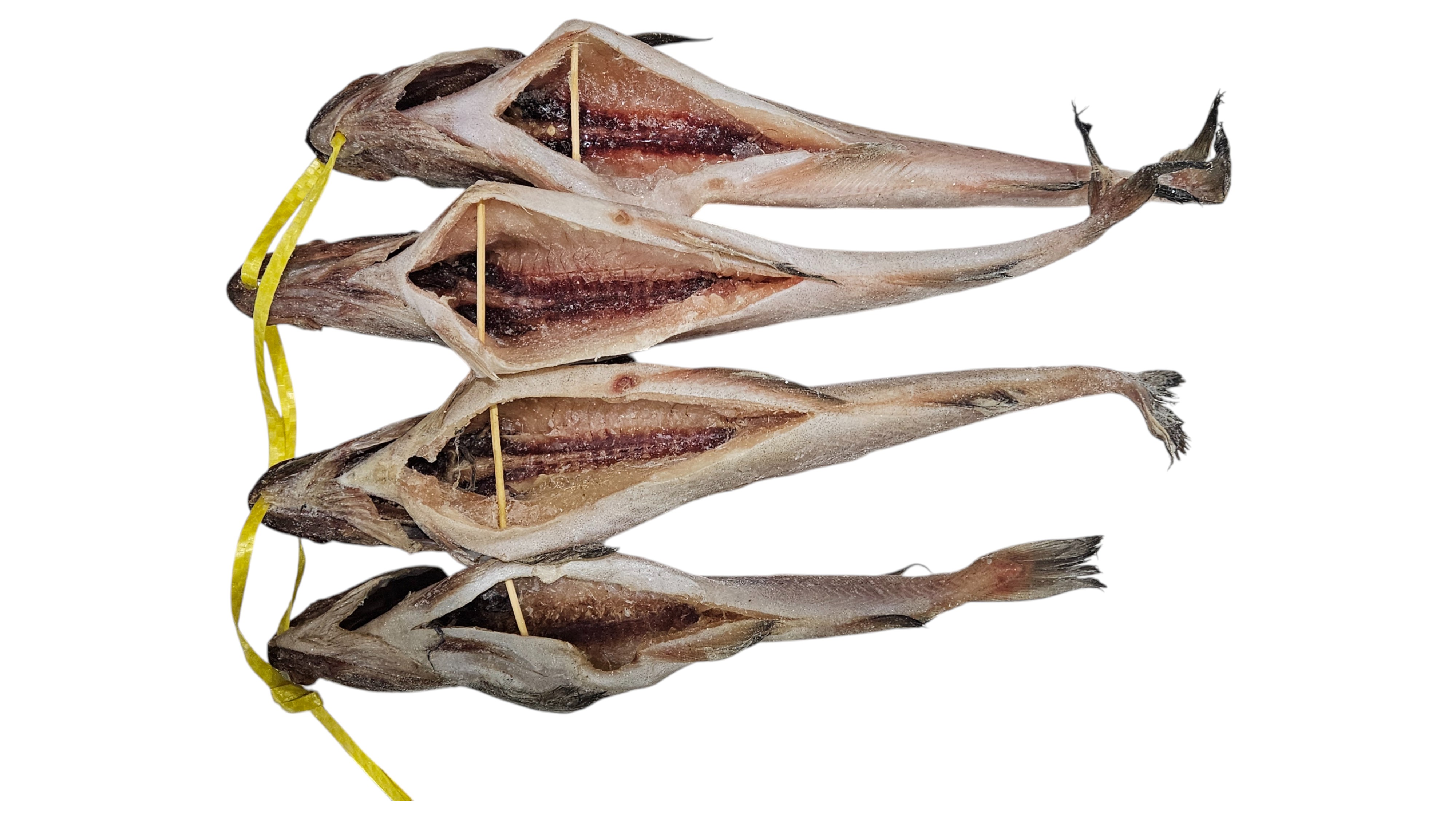 냉 코다리 48미 (412)