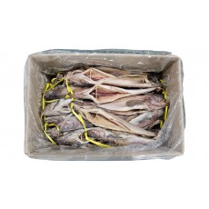 냉 코다리 48미 (412)