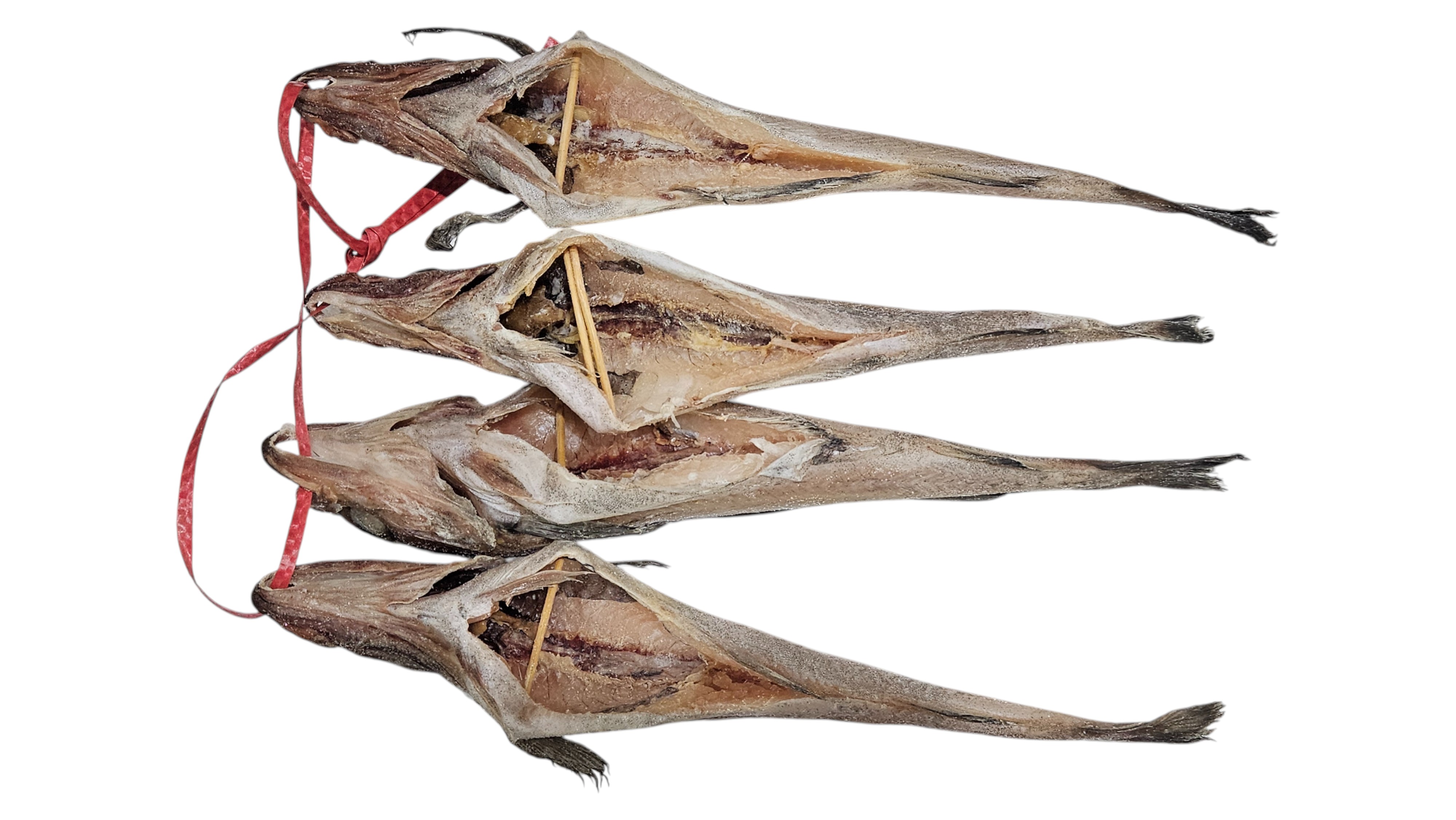 냉 코다리 56미 (414)